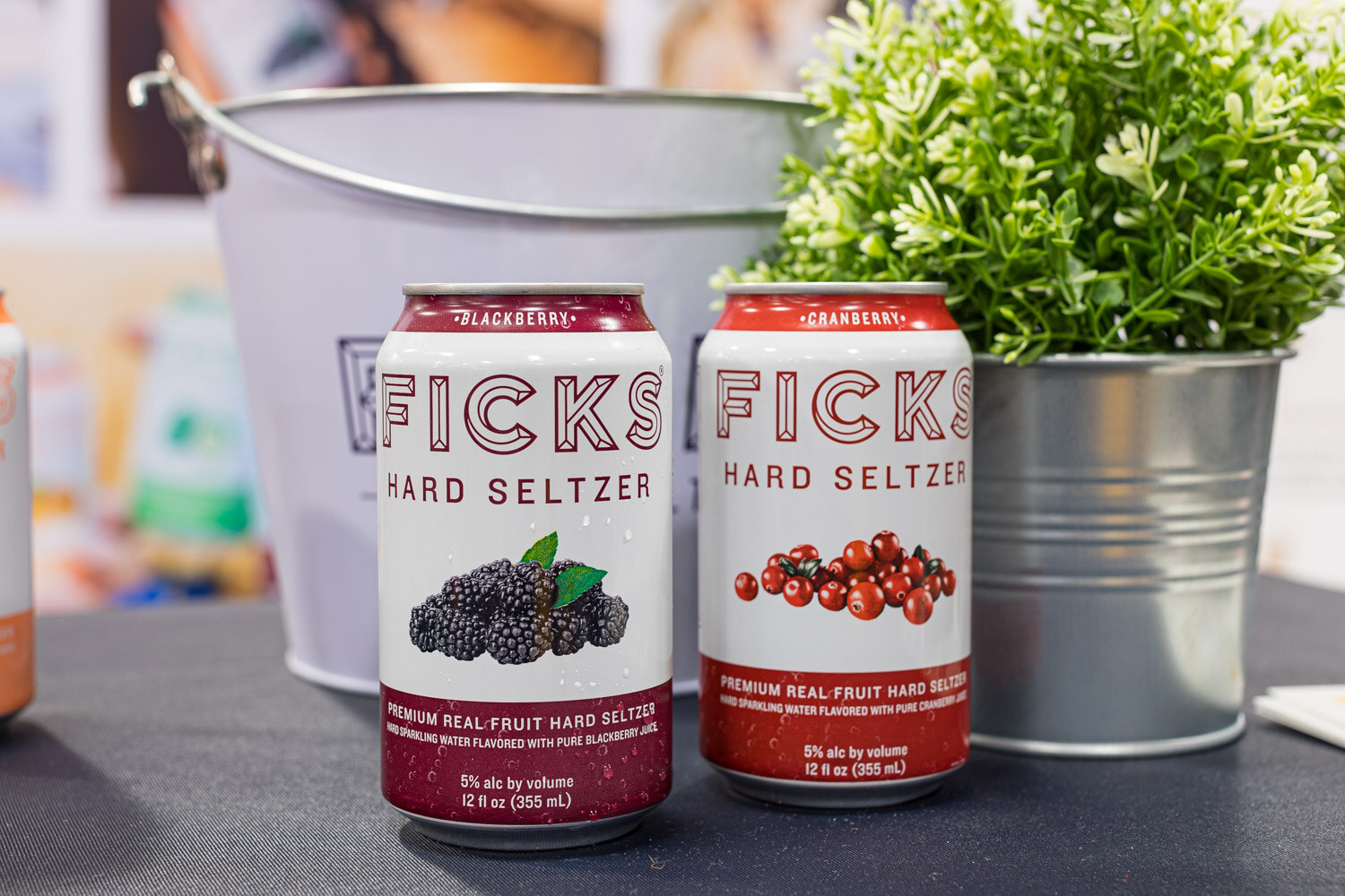 Two Ficks Hard Seltzer cans in blackberry and cranberry next to a bucket and a plant