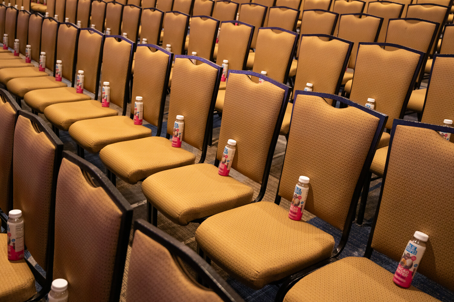 Rows of gold chairs each hold a small bottle.