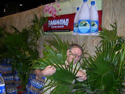 A man with glasses peeks out from behind palm fronds in front of a Hawaiian Springs banner with water bottles, with stacked bottled water at lower left.