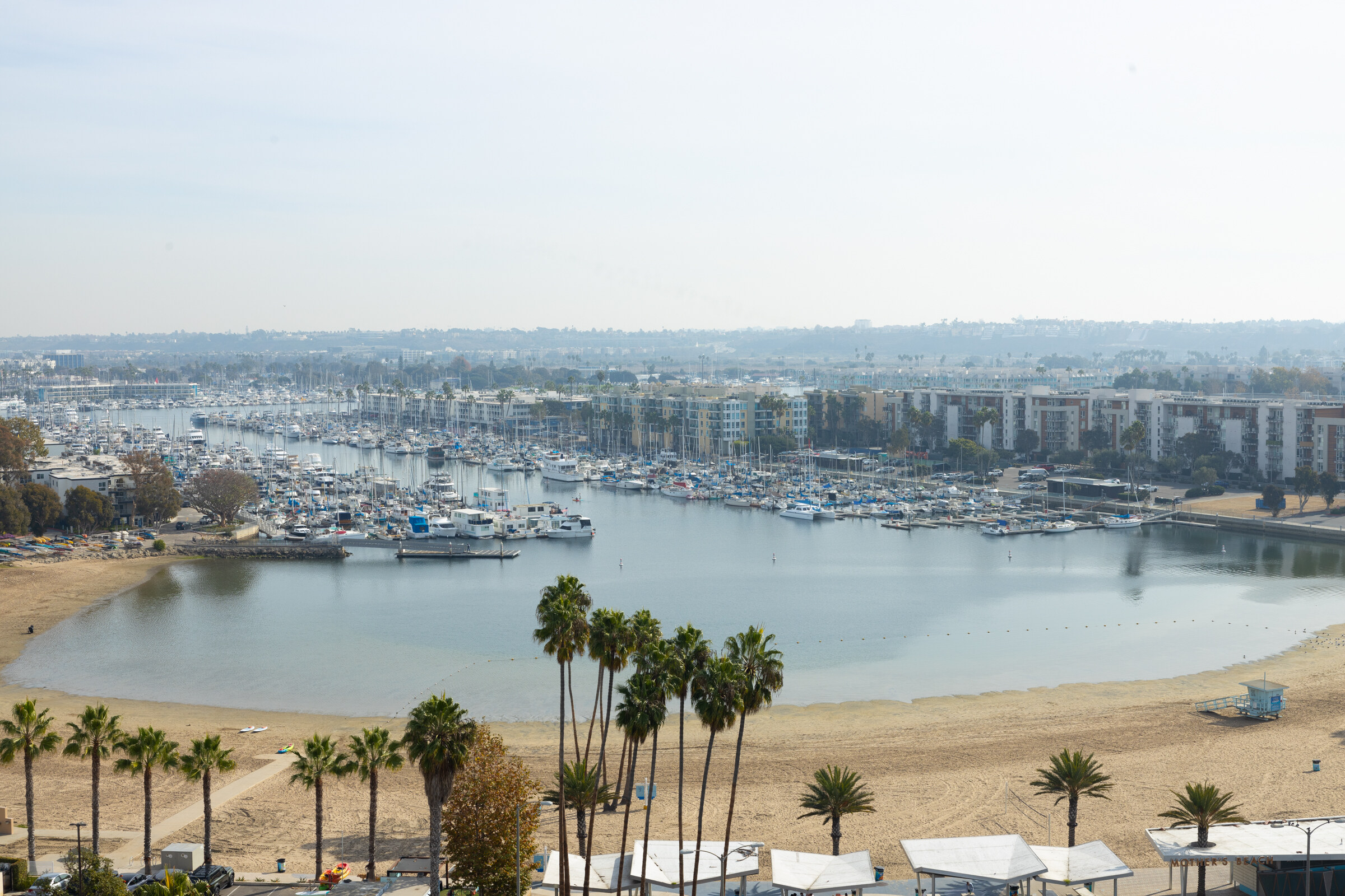 View from above of a marina with docked boats, a beach, palm trees and buildings under a pale sky.