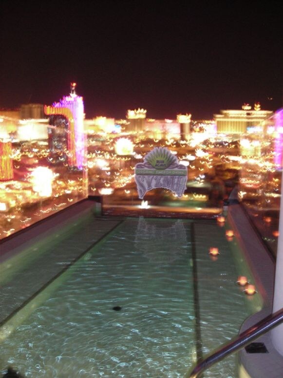 Photo of the Syzmo Energy party at the Hefner Suite at the Palms during NBWA 2007. The photo is unavailable, so the visible scene cannot be described.