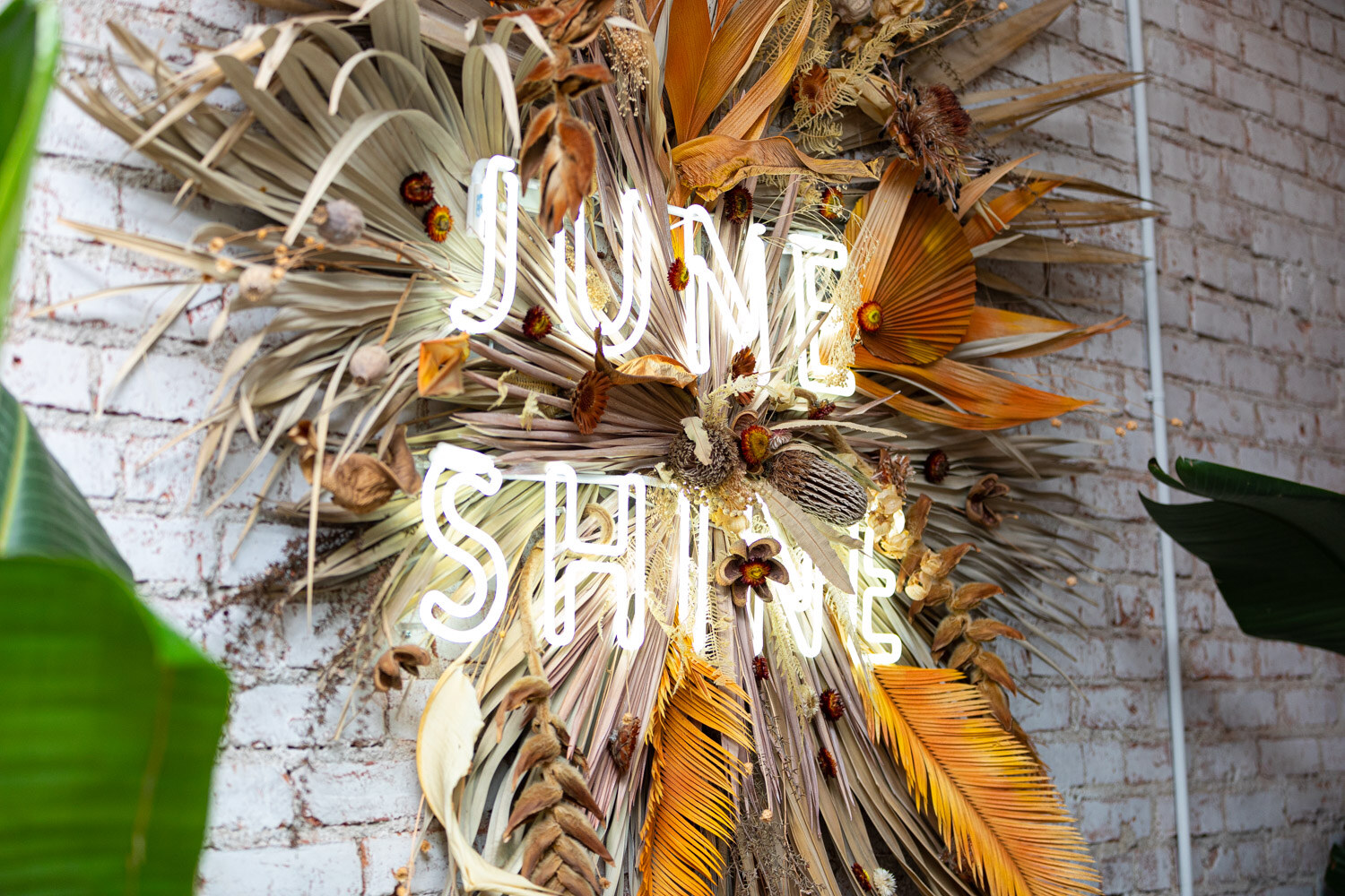 Cream neon letters reading June Shine on a white brick wall framed by dried orange palm leaves and green plants.