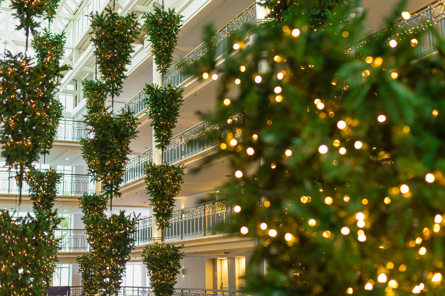 Decorated evergreen trees with lights in the multi-story atrium of the hotel