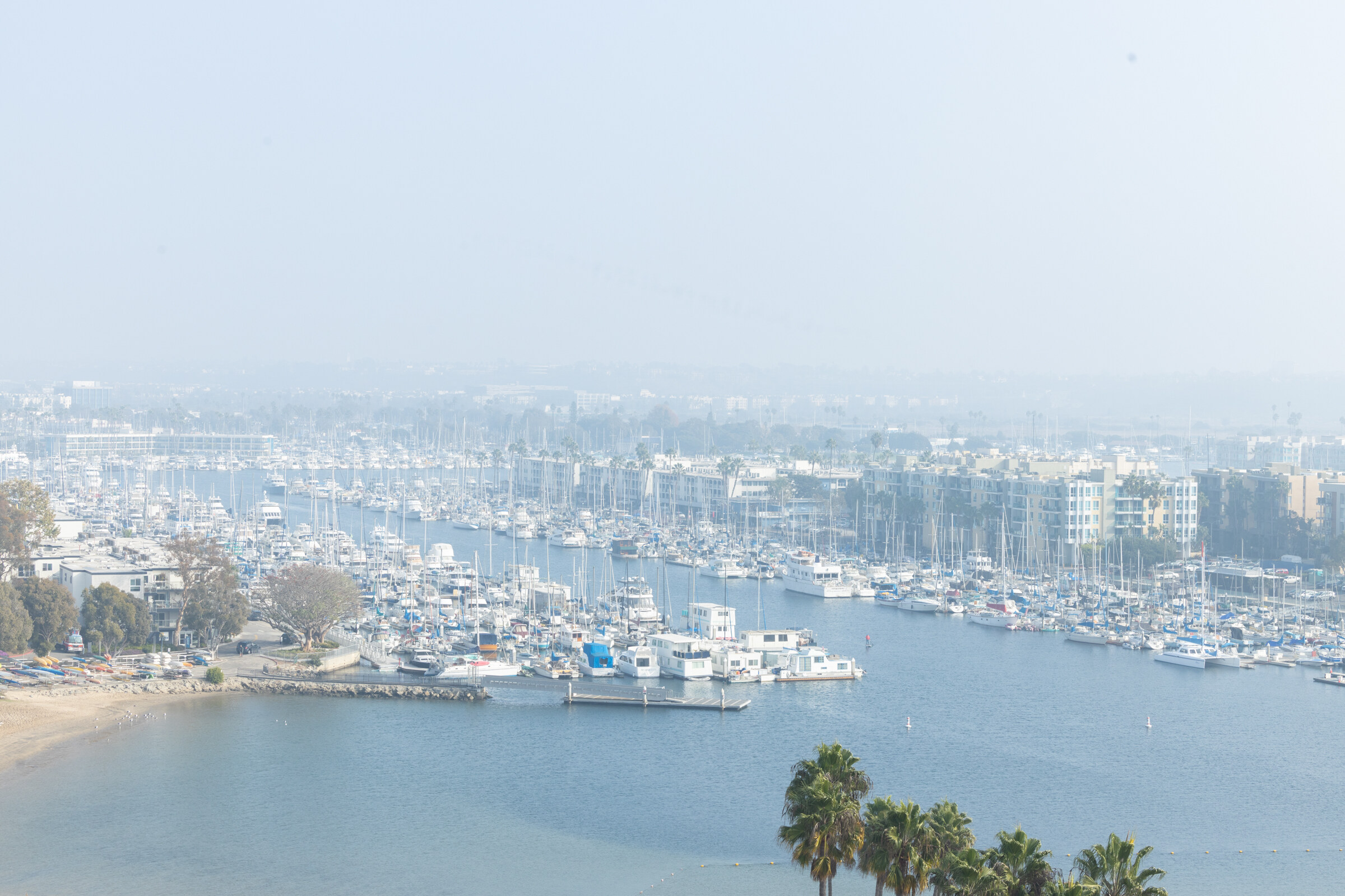 A hazy view of a marina full of boats and palm trees along the waterfront.