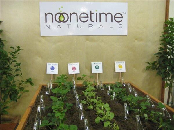 A noonetime Naturals sign hangs above a wooden planter of green seedlings with small glass bottles stuck in the soil and four small flavor signs on stakes.