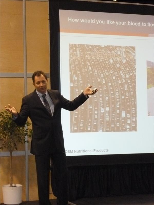 A man in a dark suit gestures with both arms while presenting in front of a projected slide showing a crowded highway. The slide is labeled DSM Nutritional Products.