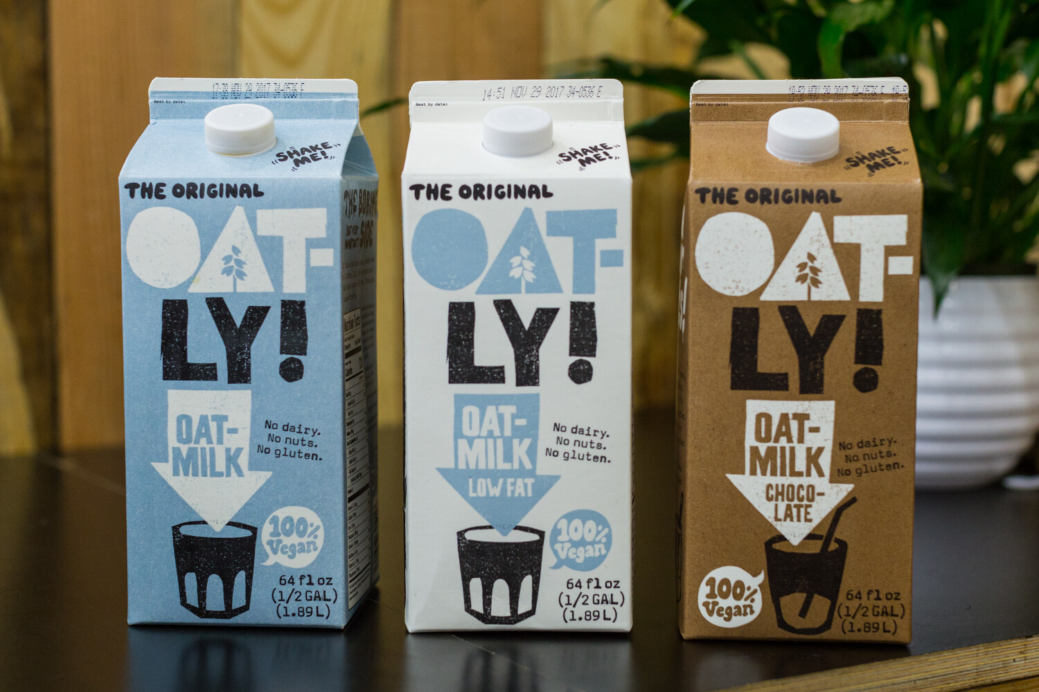 Three half-gallon Oatly cartons in light blue, white and brown beside a green plant.