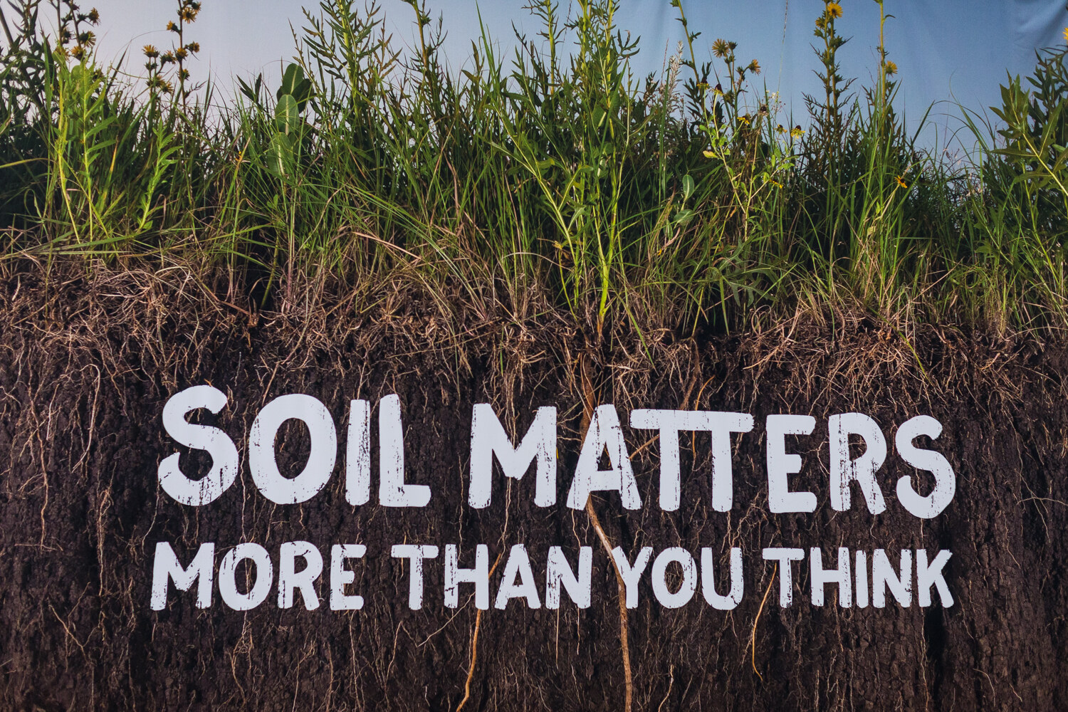 A photographic banner of tall grass above dark soil with roots and the white text Soil Matters More Than You Think.