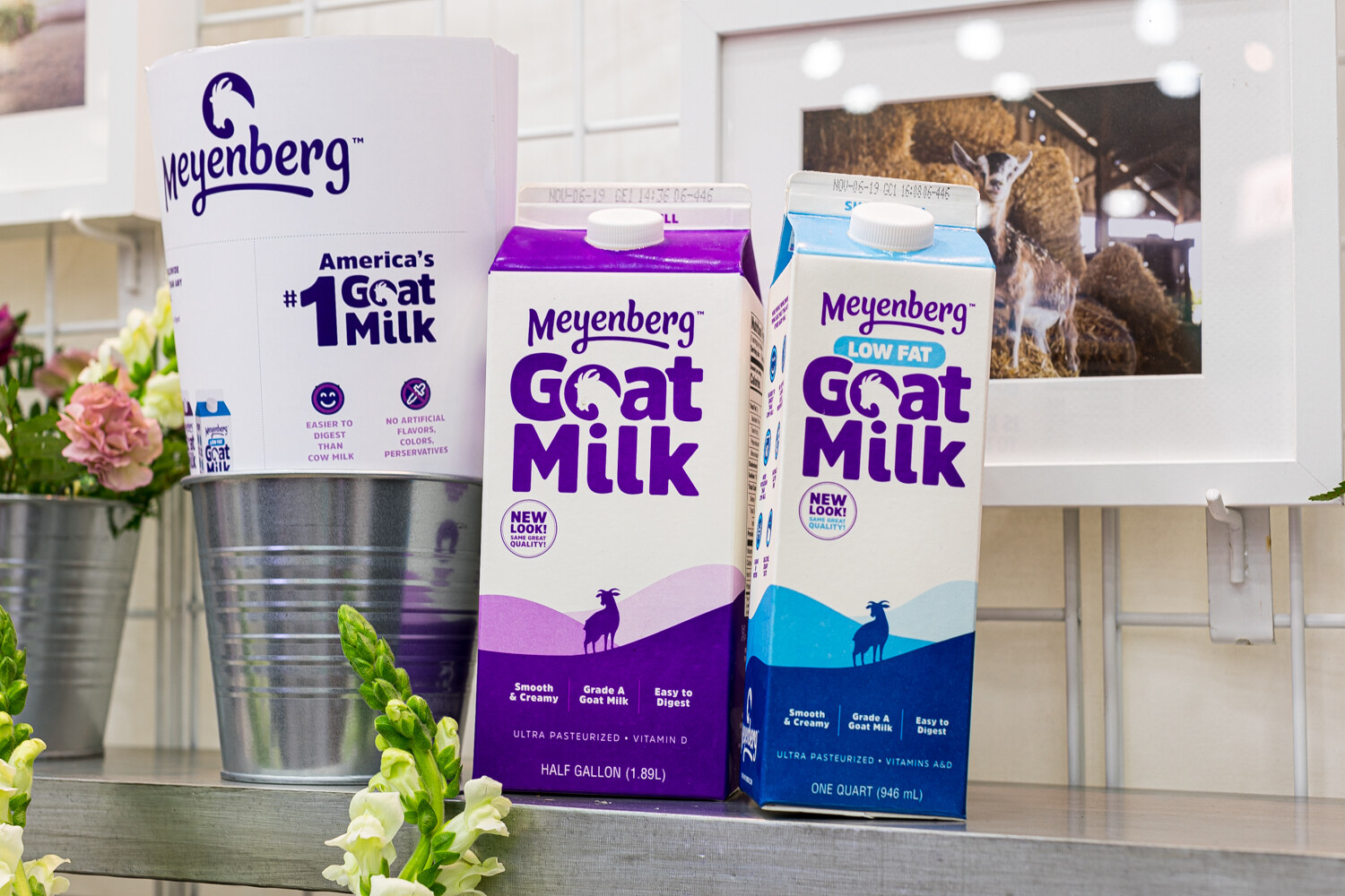 Two Meyenberg Goat Milk cartons, purple and blue, beside a metal bucket of flowers.