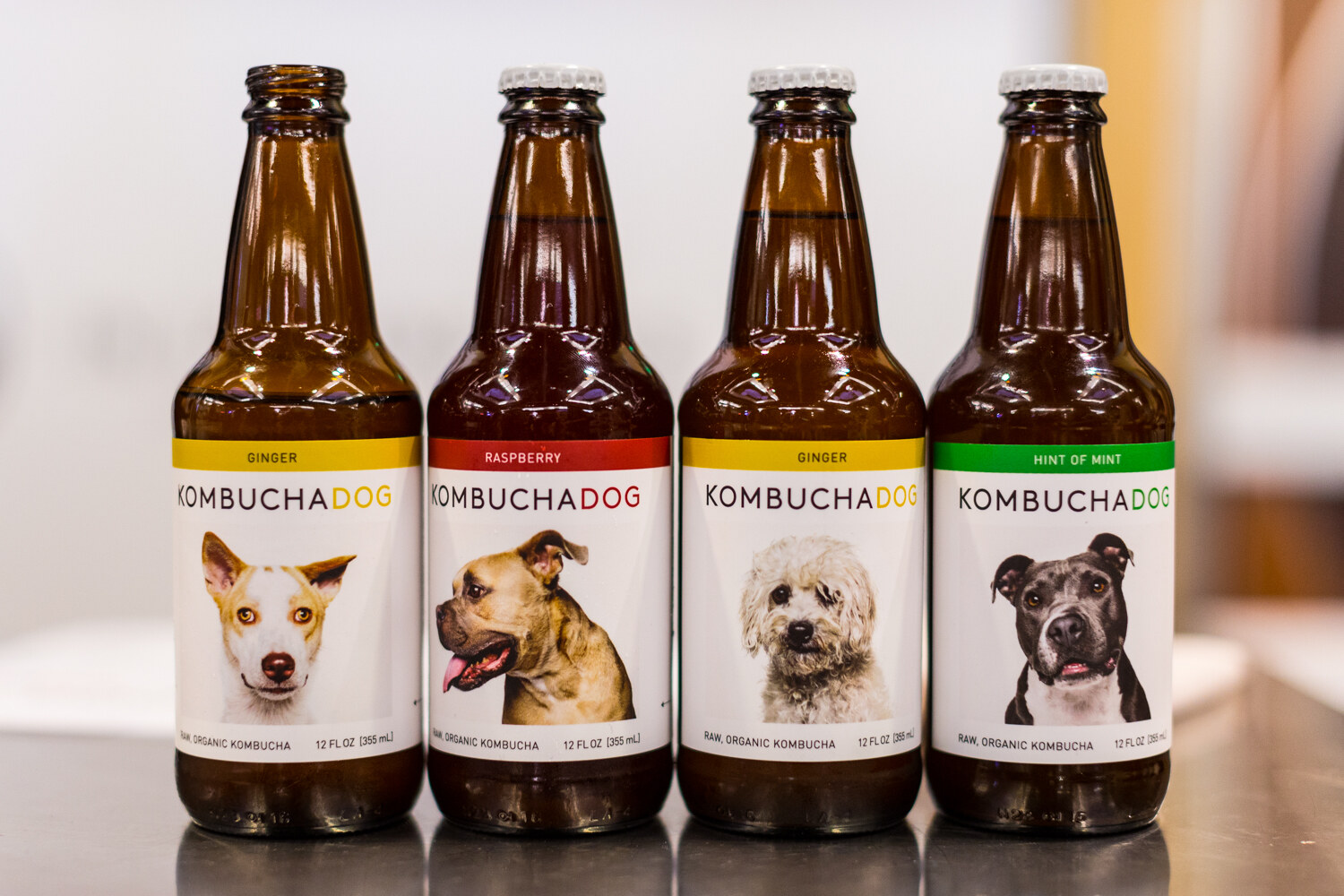Four brown bottles labeled Kombucha Dog with photos of different dogs and ginger, raspberry and hint of mint flavors.