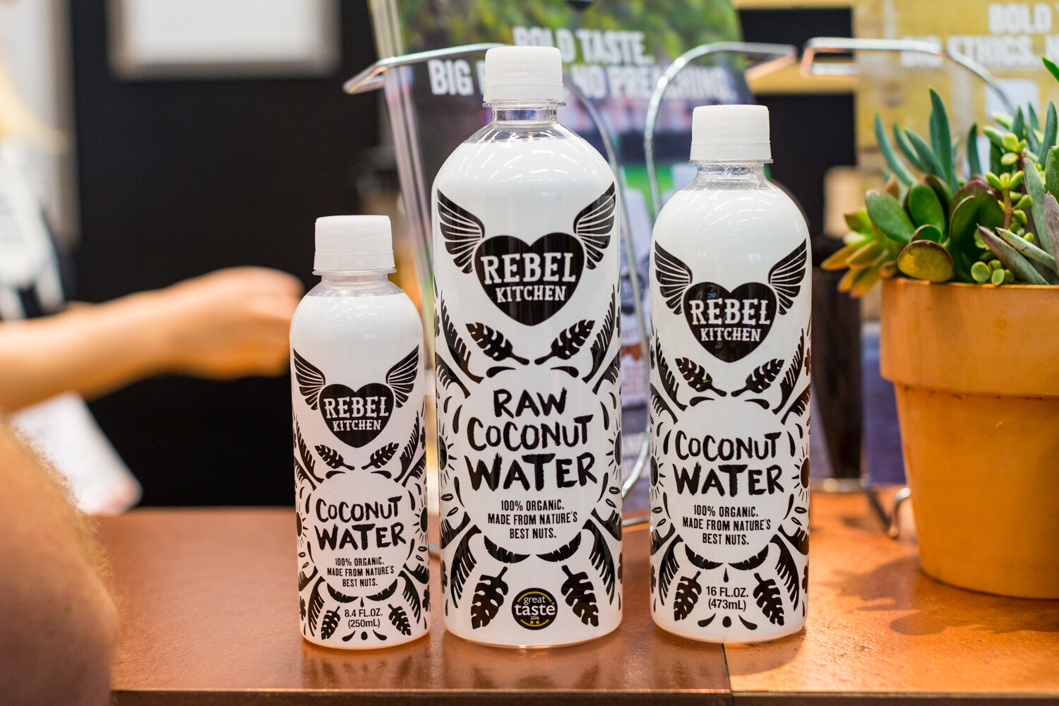 Three white bottles labeled Rebel Kitchen coconut water with a winged heart logo beside a potted succulent.