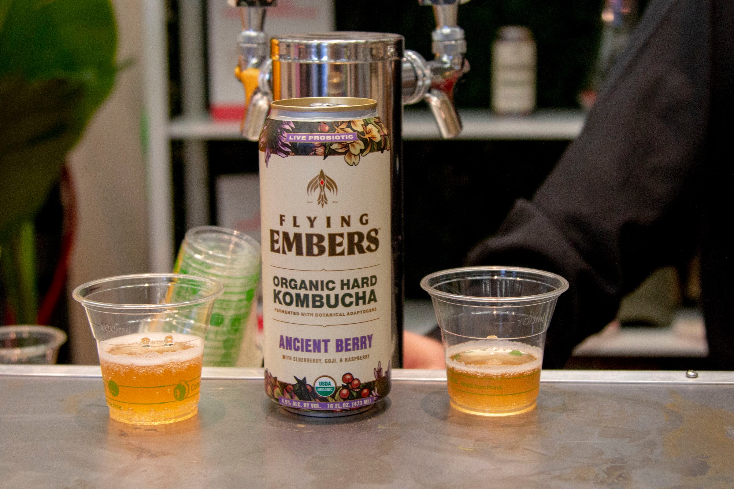 A Flying Embers can between two plastic cups of golden kombucha on a metal counter, with taps behind.