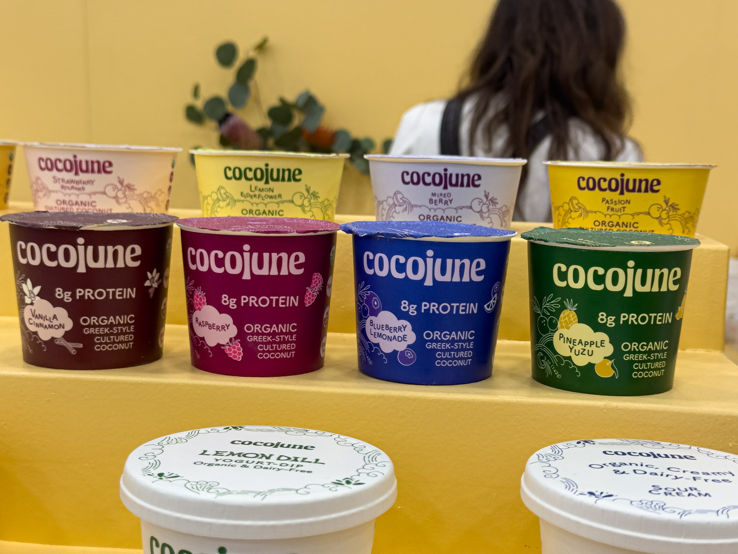 Cocojune organic coconut yogurt cups on a yellow display