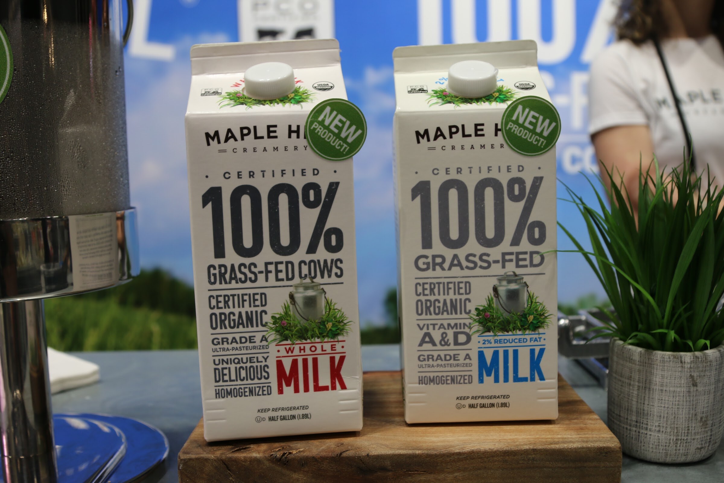 Two cartons of Maple Hill Creamery grass-fed organic milk with New Product stickers on a wooden board, a plant and a staff member behind them.